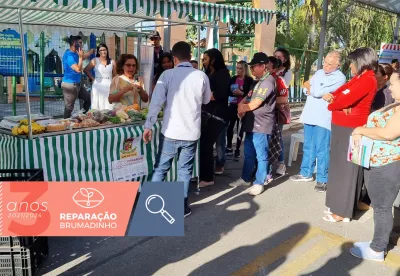Kit Feira em Mateus Leme