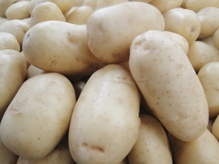 BATATA-DIVULGACAO_SEAPA