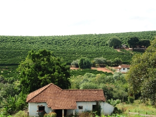 CAFÉ
