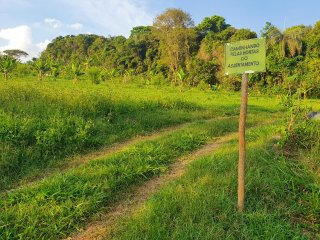 Projeto Fomento Agro - Assentamento Pastorinhas - Outubro de 2022