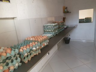 Projeto Fomento Agro - Assentamento Pastorinhas - Outubro de 2022