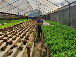 Projeto Fomento Agro - Hidroponia Águas Claras - Outubro de 2022