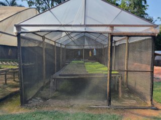 Projeto Fomento Agro - Hidroponia Águas Claras - Outubro de 2022