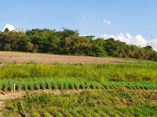 Projeto Fomento Agro - Assentamento Pastorinhas - Outubro de 2022
