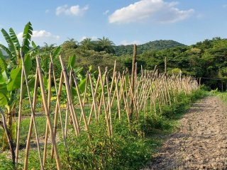 Projeto Fomento Agro - Assentamento Pastorinhas - Outubro de 2022