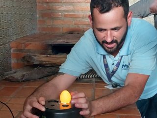 Técnico auxiliando sobre qualidade dos ovos