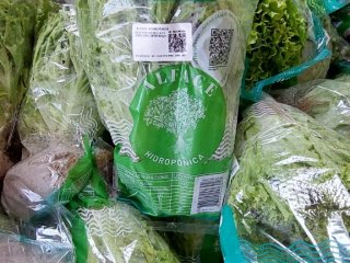 Embalagens das hortaliças hidropônicas Águas Claras