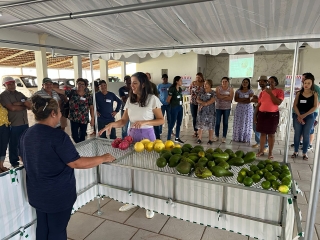 Curso de capacitação do projeto Kit Feira em Três Marias