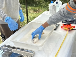Fase 2 dos Estudos de Risco - Coleta de amostras