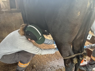 Fase 2 dos Estudos de Risco - Coleta de amostras