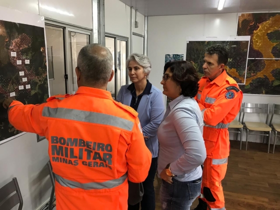 governo_aposta_na_floricultura