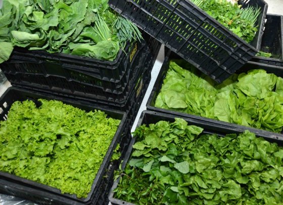 agenciamento_produtores_brumadinho