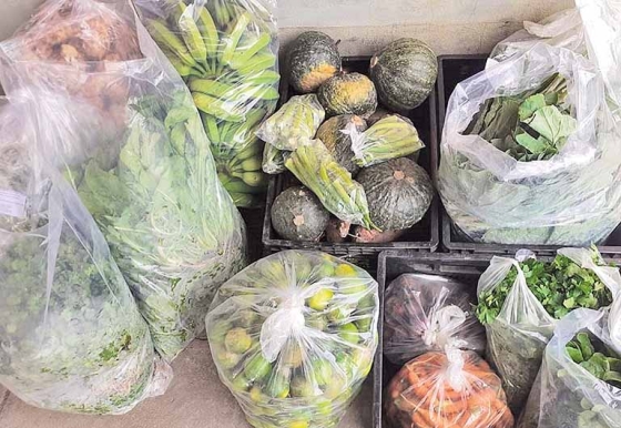 Imagem de verduras e legumes embalados em uma mesa. 