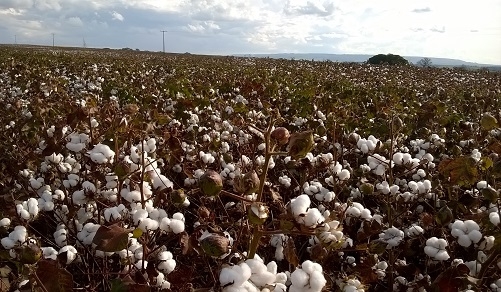 Mineira ganha US$ 10 mil em sorteio do r mais popular do mundo - Gerais - Estado de Minas