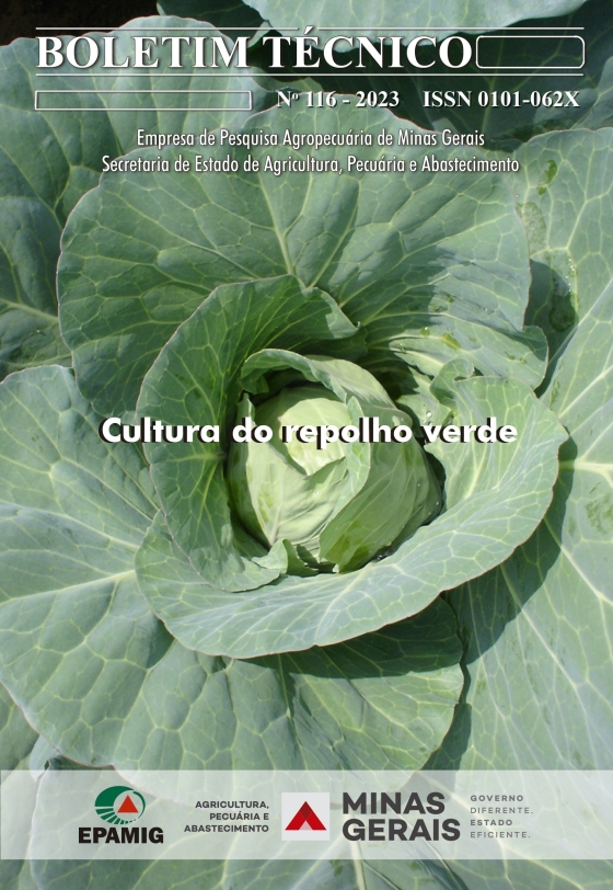 Capa do Boletim Técnico da Epamig com foto de repolho verde