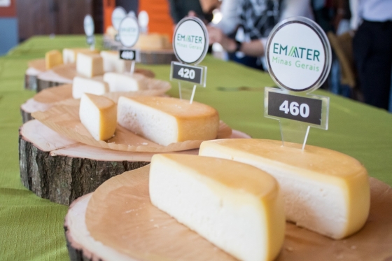 queijos expostos em cima da mesa