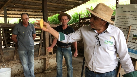 existem três agricultores na imagem e um com um objeto na mão em primeiro plano