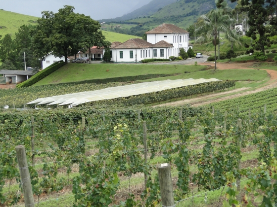 Imagens localizada do Campo Experimental da Epamig em Caldas.