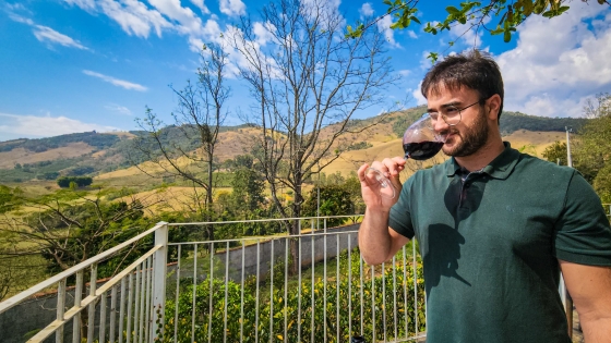 Foto mostra enólogo analisando vinho servido numa taça