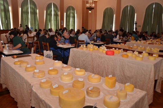 mesa com vários queijos durante julgamento do concurso internacional do queijo em araxá