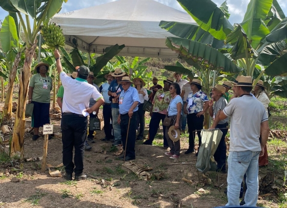 Implantação de pomares em Itabira.