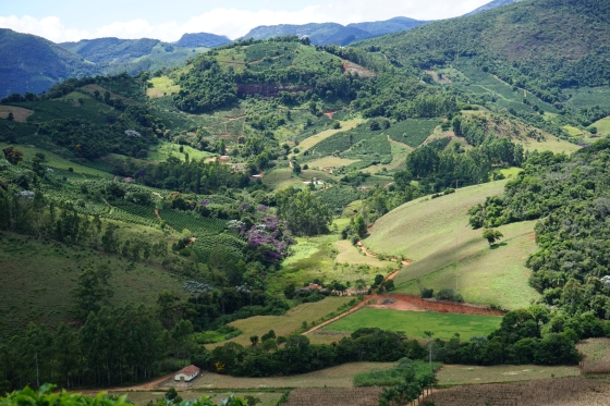 Imagem aérea do campo