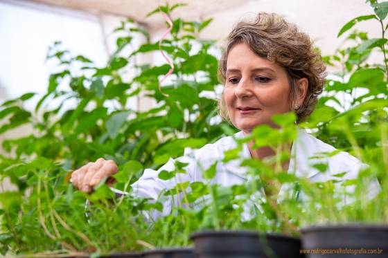 A foto mostra a pesquisadora da Epamig Madelaine Venzon no meio de plantas em laboratório