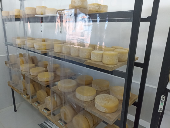 Queijo Minas artesanal