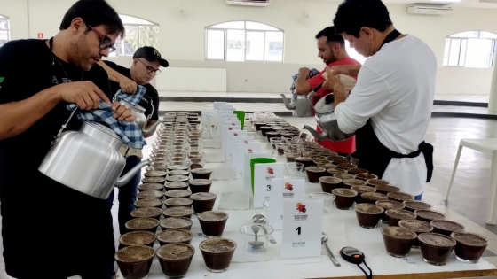 Imagem da seleção de cafés para o concurso