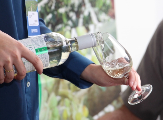 vinho servindo numa taça