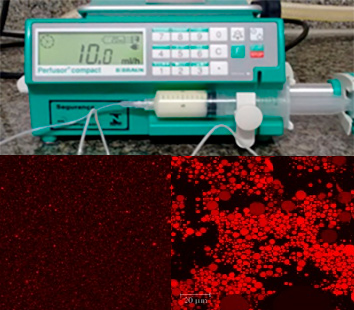 aparelho eletrônico e abaixo dele duas imagens feitas com zoom microscópico  