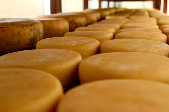 Imagem de Queijo Minas Artesanal