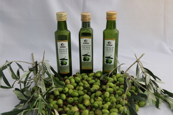 Três vidros de azeite de oliva da Epamig, alguns galhos da oliveira e várias azeitonas compondo a foto.