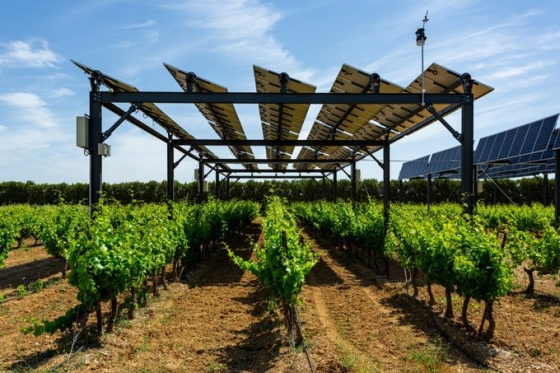 agrivoltaica