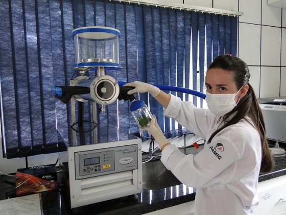 Imagem mostra pesquisadora da Epamig em laboratório
