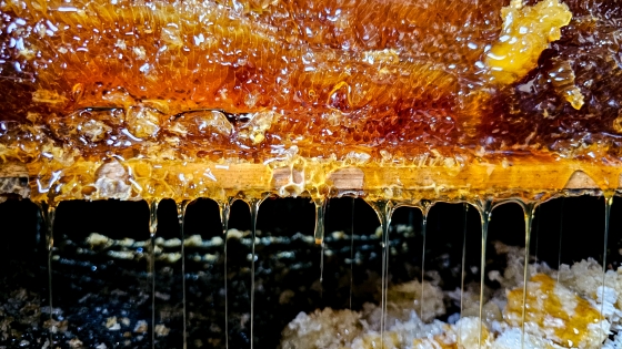 Crédiot diego Vargas 