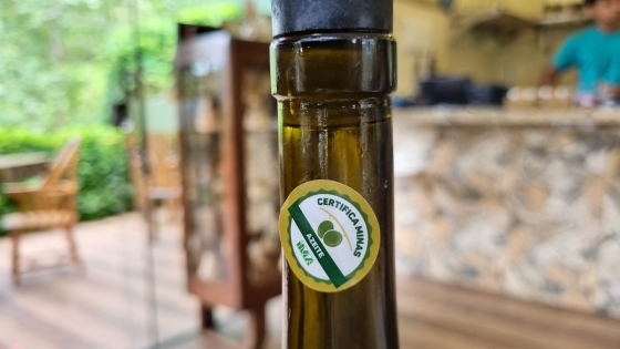Azeite produzido em Maria da Fé tem a chancela do Certifica Minas