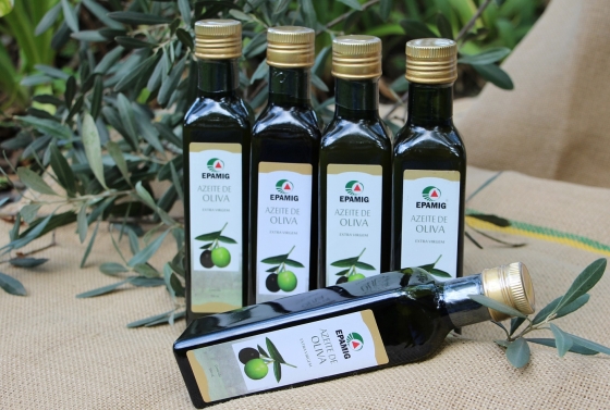 Azeites Epamig