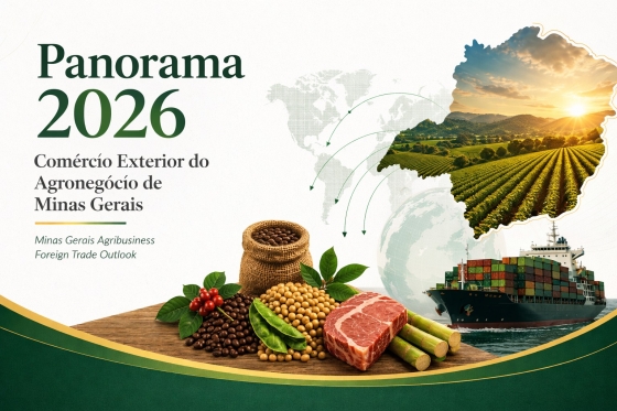 A publicação apresenta o perfil dos principais produtos agropecuários exportados pelo estado