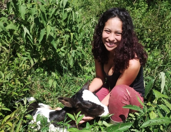 Divulgação Emater-MG