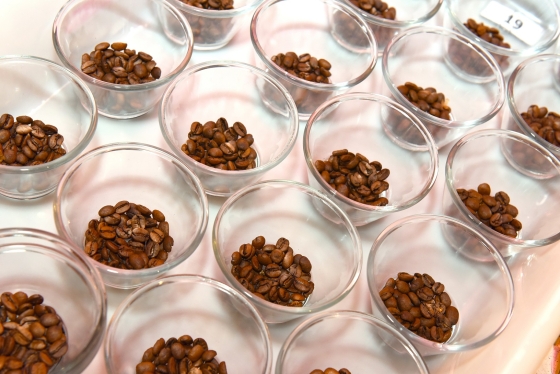 Os números reforçam a presença da agricultura familiar na produção de cafés de qualidade em Minas Gerais