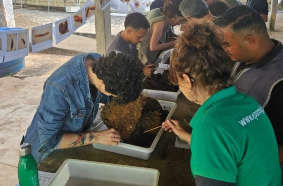 Alunos participam de aula prática sobre cafeicultura orgânica