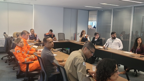 Reunião do Comitê Gestor de Medidas de Prevenção e Enfrentamento das Consequências do Período Chuvoso