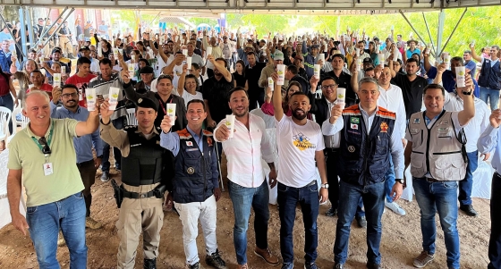 Imagem capa Imagem capa