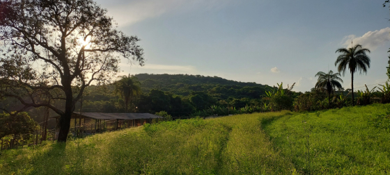 Propriedade rural