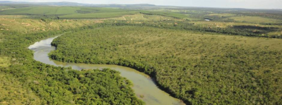 Rio Paraopeba