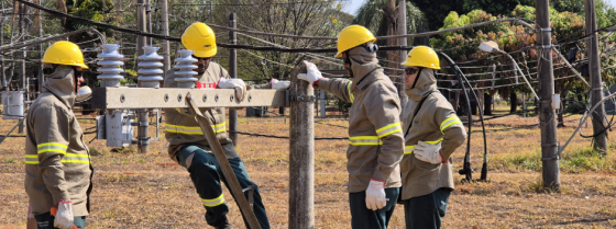 Técnicos da Cemig em atendimento