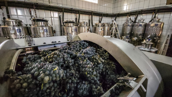 Maquinários para fabricação de vinhos