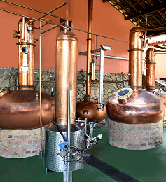 alambique