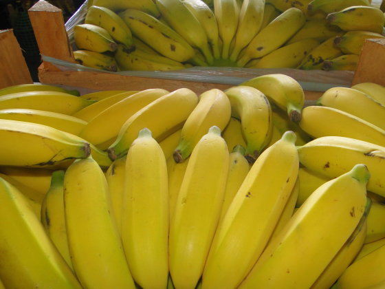Foto de bananas